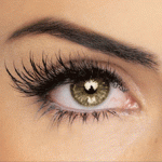Individual eyelashes