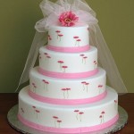 Chicago wedding photographer